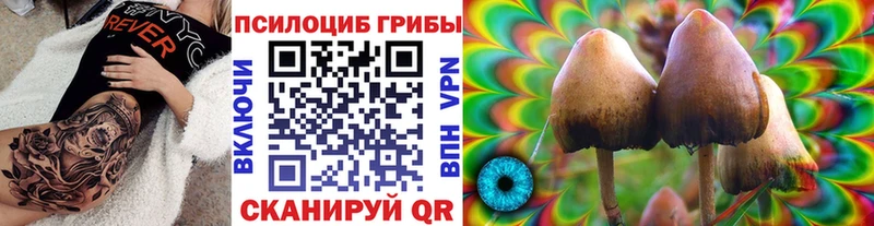 Купить где  Нестеров  Галлюциногенные грибы GOLDEN TEACHER 